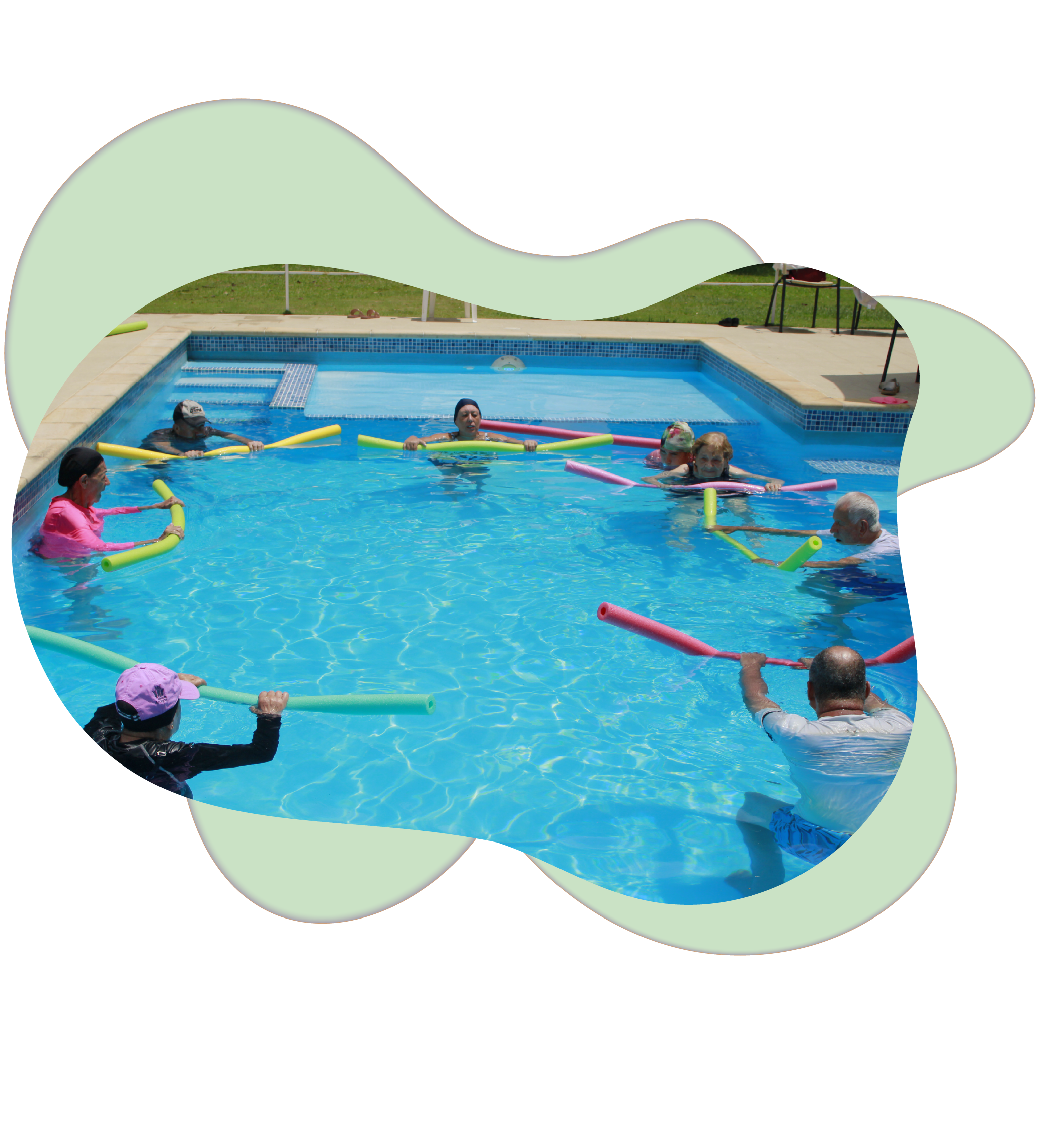 plan oasis pagina web